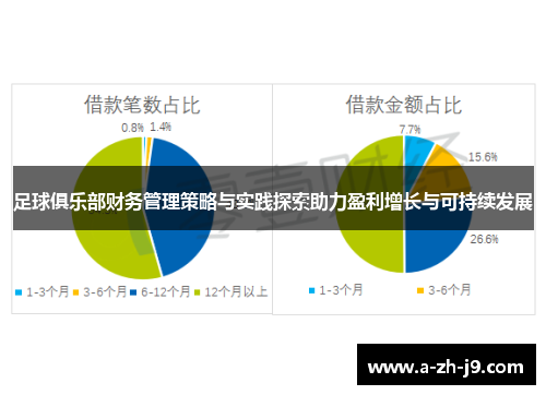 足球俱乐部财务管理策略与实践探索助力盈利增长与可持续发展 足球俱乐部财务管理策略与实践探索助力盈利增长与可持续发展