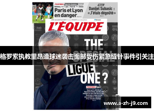 格罗索执教里昂遭球迷袭击面部受伤紧急缝针事件引关注 格罗索执教里昂遭球迷袭击面部受伤紧急缝针事件引关注