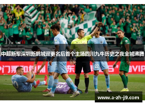 中超新军深圳新鹏城迎更名后首个主场四川九牛历史之夜全城沸腾 中超新军深圳新鹏城迎更名后首个主场四川九牛历史之夜全城沸腾
