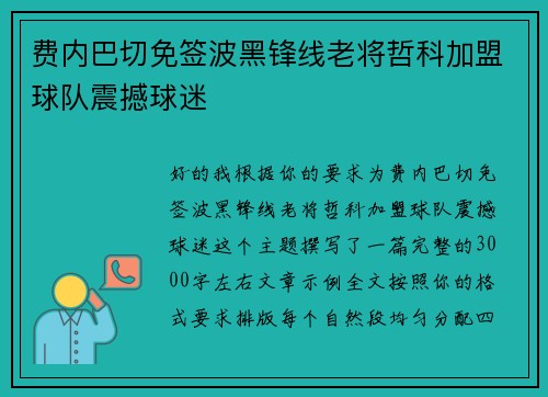 费内巴切免签波黑锋线老将哲科加盟球队震撼球迷 费内巴切免签波黑锋线老将哲科加盟球队震撼球迷